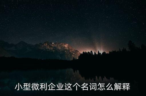 微利成公司是什么意思，小型微利企業(yè)這個名詞怎么解釋