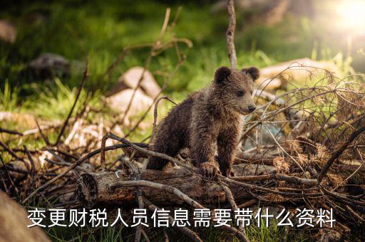 變更辦稅人員要帶什么，如何變更辦稅員