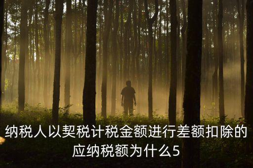 為什么 契稅 差額計稅，最新房產(chǎn)稅費