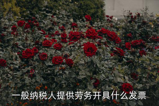 一般納稅人提供勞務開具什么發(fā)票