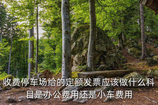 收費(fèi)停車場(chǎng)給的定額發(fā)票應(yīng)該做什么科目是辦公費(fèi)用還是小車費(fèi)用