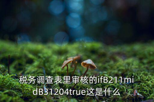 國稅調(diào)查表有什么意義，國稅要求地址普查的目的是什么