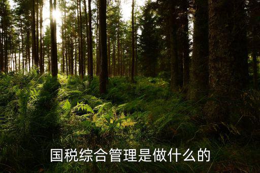 國(guó)稅綜合業(yè)務(wù)是什么，國(guó)稅綜合管理是做什么的