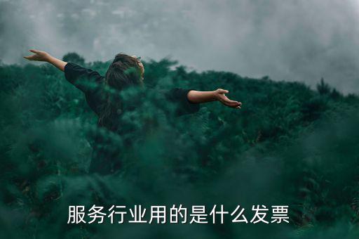 服務業(yè)發(fā)票是什么發(fā)票，服務發(fā)票是不是普通發(fā)票的一種