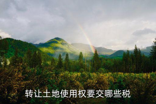 轉(zhuǎn)讓土地使用權(quán)要交什么稅，轉(zhuǎn)讓土地使用權(quán)要交哪些稅
