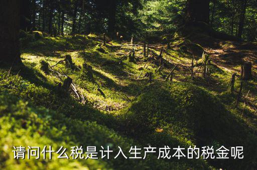 什么稅計(jì)入成本，請(qǐng)問什么稅是計(jì)入生產(chǎn)成本的稅金呢