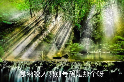 納稅人識別卡是什么，一般納稅人的IC卡的型號中JK100和JK300有什么區(qū)別