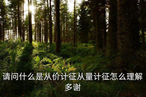 請(qǐng)問什么是從價(jià)計(jì)征從量計(jì)征怎么理解多謝