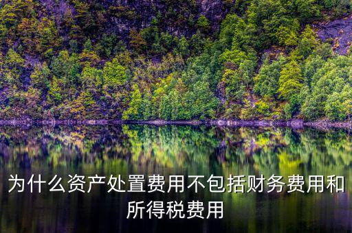 籌資費(fèi)用為什么不考慮所得稅，為什么資產(chǎn)處置費(fèi)用不包括財(cái)務(wù)費(fèi)用和所得稅費(fèi)用