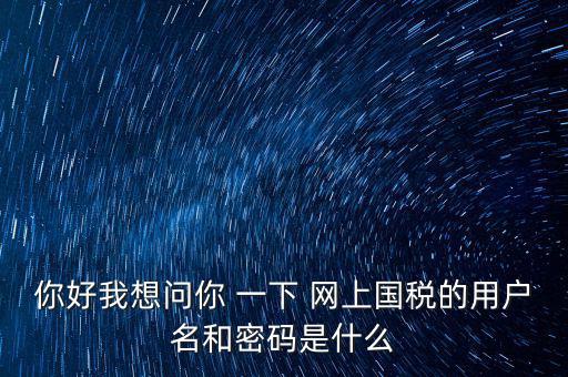 你好我想問(wèn)你 一下 網(wǎng)上國(guó)稅的用戶(hù)名和密碼是什么