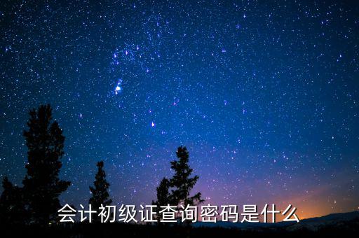 會(huì)計(jì)初級(jí)證查詢(xún)密碼是什么