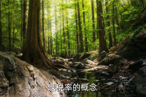 出口退稅率是什么意思，出口退稅率是什么意思啊什么樣的人要交呢