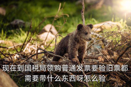 發(fā)票驗舊都需要帶什么，現(xiàn)在到國稅局領(lǐng)購普通發(fā)票要驗舊票都需要帶什么東西呀怎么驗