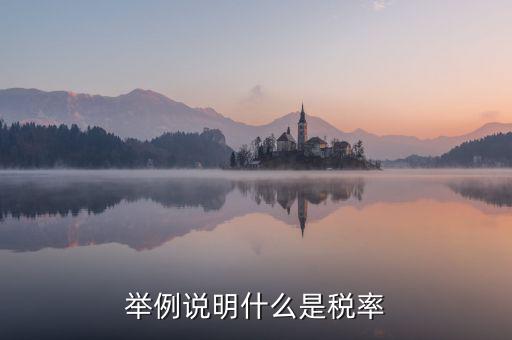 稅率說明是什么意思，稅率是什么意思