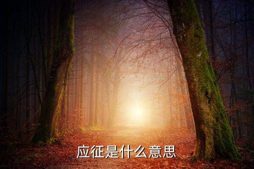 應征發(fā)生日期什么意思，應征的意思