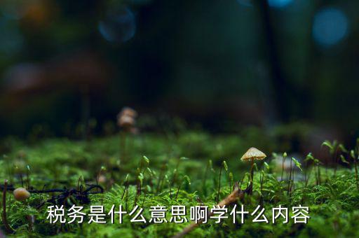 稅務是什么意思啊學什么內容