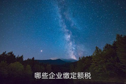 什么公司定額征稅，哪些企業(yè)繳定額稅