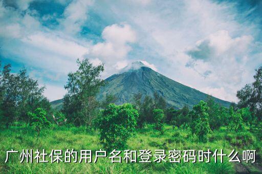 地稅社保用戶名是什么，南京這邊可以國稅扣稅款一個賬號基本戶地稅扣款比如社保
