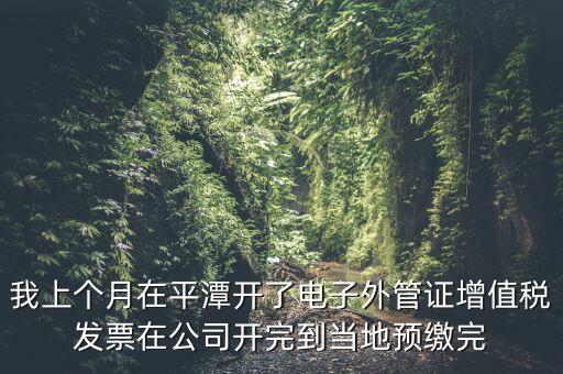 我上個月在平潭開了電子外管證增值稅發(fā)票在公司開完到當?shù)仡A(yù)繳完