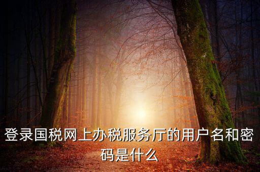 稅務(wù)登陸密碼是什么意思，國稅第一次網(wǎng)上申報的登陸密碼是什么