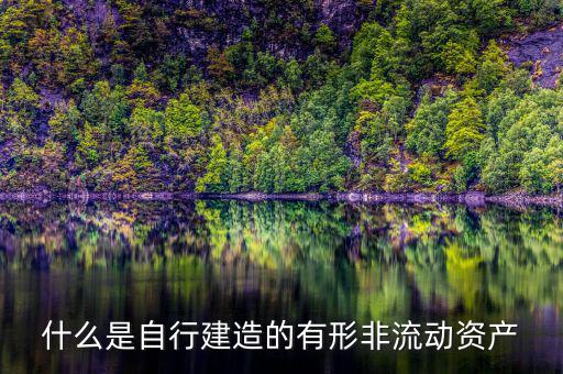 什么叫自建不動(dòng)產(chǎn)，自建不動(dòng)產(chǎn)不共擔(dān)風(fēng)險(xiǎn)的投資行為