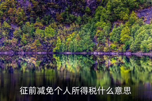 減免所得稅是什么意思，征前減免個(gè)人所得稅什么意思