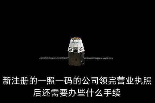 一照一碼后還需辦什么，網(wǎng)上申請一照一碼必須要經(jīng)辦人的U盾嗎