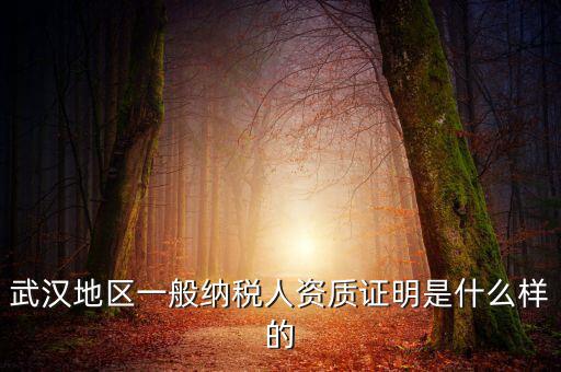 納稅資質(zhì)證明是什么意思，什么是稅務(wù)證明