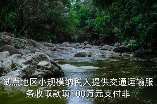 什么向試點地區(qū)納稅人支付費用，4試點地區(qū)內(nèi)一般納稅人向試點地區(qū)內(nèi)一般納稅人支付費用取得增值