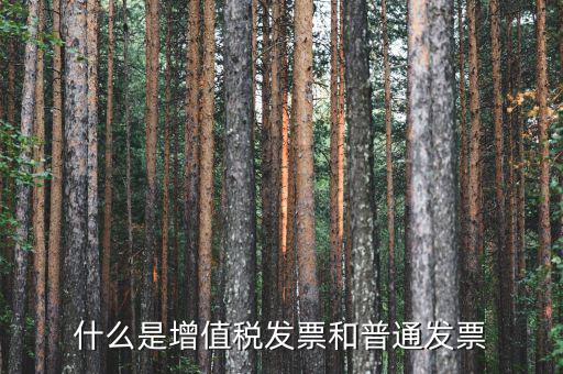 增值稅普通發(fā)票卷票是什么，卷票和普通增值稅發(fā)票有什么區(qū)別嗎