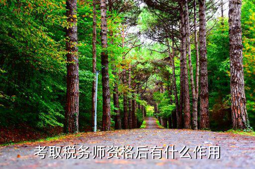稅務(wù)師職業(yè)資格證又什么用，現(xiàn)在考稅務(wù)師有什么用