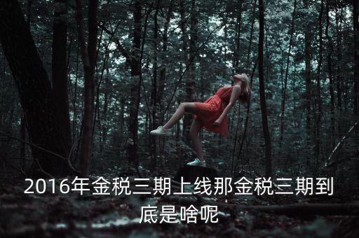金稅三期包括什么，金稅三期是什么意思