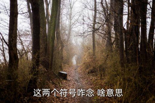 項稅讀音是什么意思，怎么讀是什么意思