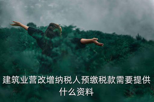 預(yù)繳稅款要什么資料，到國稅局預(yù)交稅款需要帶什么東西