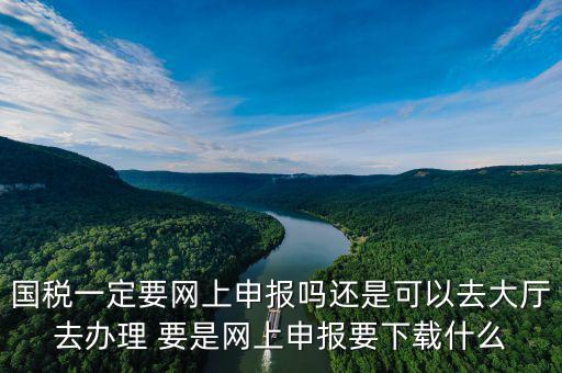 地稅進國稅要下載什么，深圳國地稅想網(wǎng)上申報要下載什么東西嗎