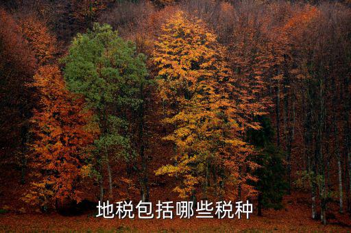 地稅足什么，地稅包括哪些稅種