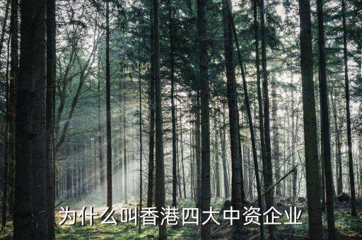 什么叫中資控股企業(yè)，為什么叫香港四大中資企業(yè)