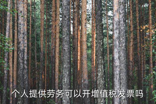 什么是個(gè)人勞務(wù)發(fā)票嗎，個(gè)人開(kāi)工程勞務(wù)費(fèi)發(fā)票是在工程所在地開(kāi)具嗎