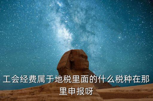 工會活動費(fèi)中稅是什么，工會經(jīng)費(fèi)屬于地稅里面的什么稅種在那里申報(bào)呀