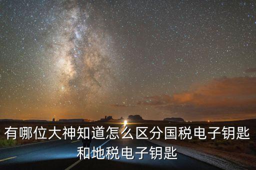 國(guó)稅電子鑰匙是什么，稅務(wù)密鑰是什么東西是數(shù)字證書嗎
