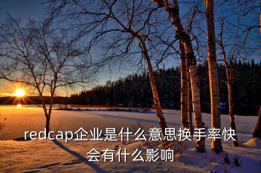 大企業(yè)局是什么意思，廣東省地稅網(wǎng)上的財務(wù)報表中的大企業(yè)局?jǐn)?shù)據(jù)報送是指什么