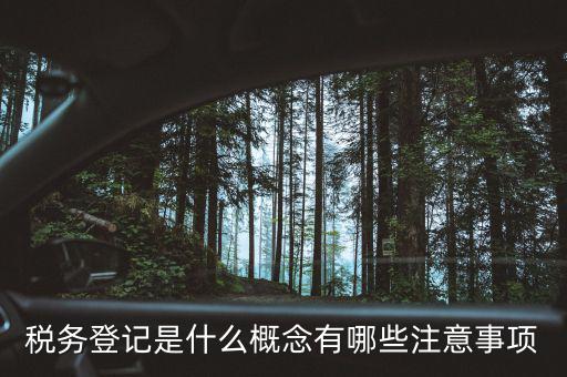 稅務(wù)登記是什么概念有哪些注意事項