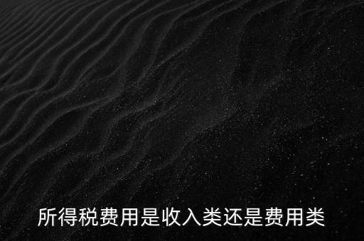 所得稅屬于什么費(fèi)用，所得稅費(fèi)用是收入類還是費(fèi)用類