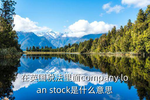 英國出國稅 是什么意思，在英國稅法里面company loan stock是什么意思