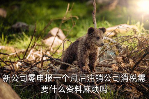 注銷稅盤需要什么資料，新公司零申報一個月后注銷公司消稅需要什么資料麻煩嗎