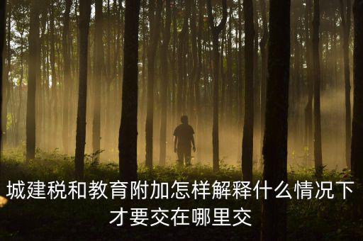 什么時(shí)候有教育費(fèi)附加，子女教育專項(xiàng)附加扣除的起始時(shí)間