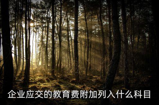 教育費(fèi)附加干什么，教育費(fèi)附加代表什么意思