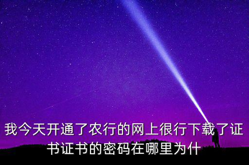 查看證書密碼是什么原因，我今天開通了農(nóng)行的網(wǎng)上很行下載了證書證書的密碼在哪里為什