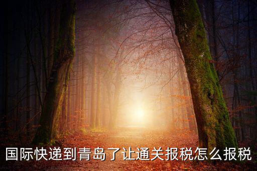 青島物流公司拿什么稅，國(guó)際快遞到青島了讓通關(guān)報(bào)稅怎么報(bào)稅