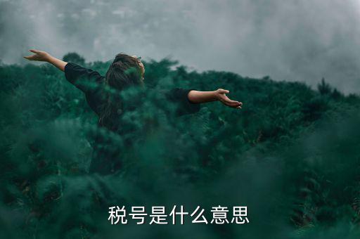 納稅號(hào)碼是什么意思，稅號(hào)是什么意思